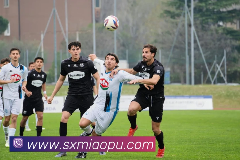 beat365唯一官网APP 封面图